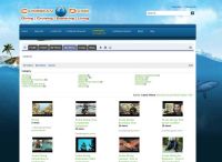Caribbean-diving-video